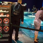 Visite des Requins au Musée Océanographique de Monaco